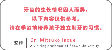 牙齿的生长情况因人而异，以上内容仅供参考。请在学龄前培养孩子独立刷牙的习惯。