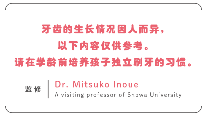 牙齿的生长情况因人而异，以上内容仅供参考。请在学龄前培养孩子独立刷牙的习惯。