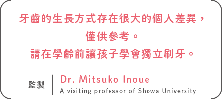 牙齒的生長方式存在很大的個人差異，僅供參考。請在學齡前讓孩子學會獨立刷牙。