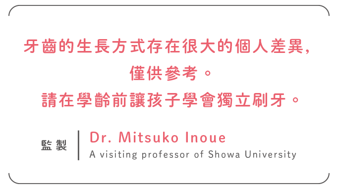 牙齒的生長方式存在很大的個人差異，僅供參考。請在學齡前讓孩子學會獨立刷牙。