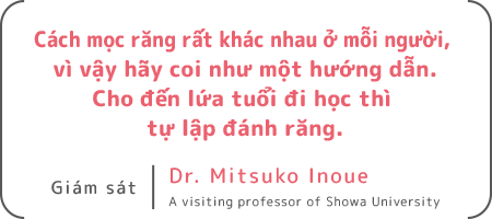 Cách mọc răng rất khác nhau ở mỗi người, vì vậy hãy coi như một hướng dẫn. Cho đến lứa tuổi đi học thì tự lập đánh răng.