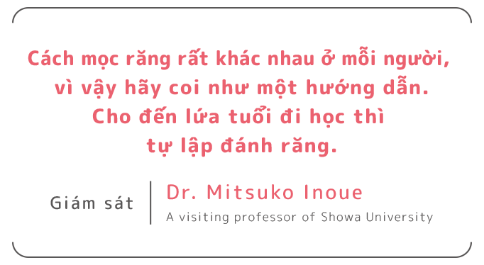 Cách mọc răng rất khác nhau ở mỗi người, vì vậy hãy coi như một hướng dẫn. Cho đến lứa tuổi đi học thì tự lập đánh răng.