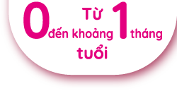 Từ 0 đến khoảng 12 tháng tuổi